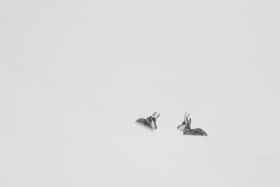 Conversation