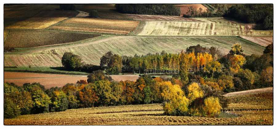 Palette automnale