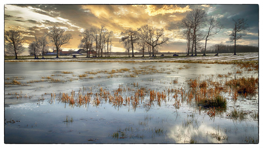 Etang gelé