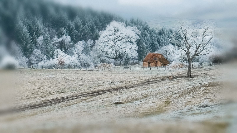 Campagne givrée