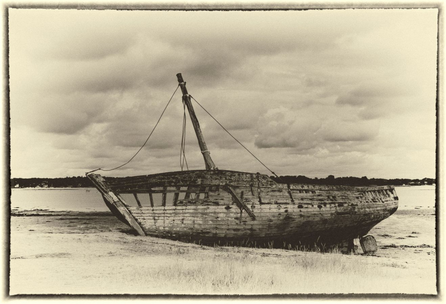 vieille carcasse