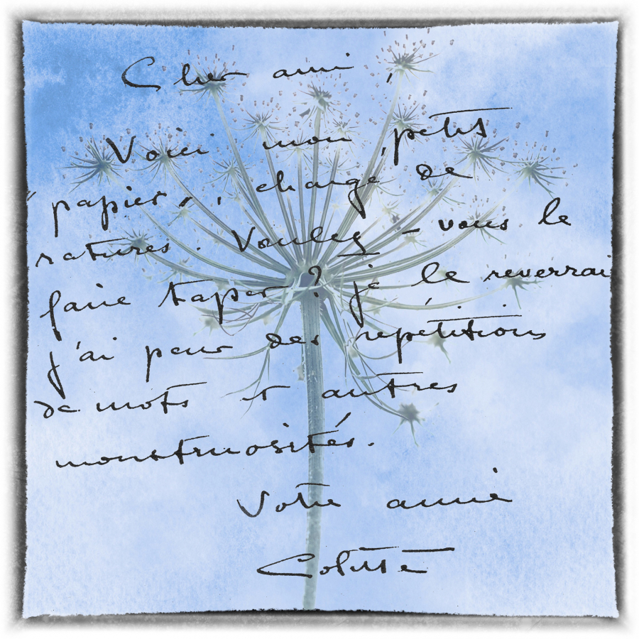 Y_Dumont_Poésie de l'écriture2