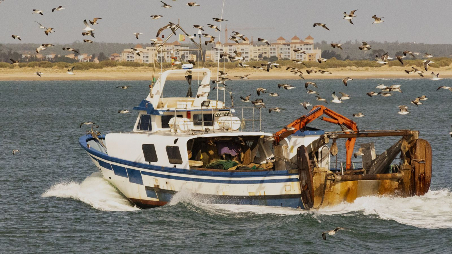 Retour de pêche
