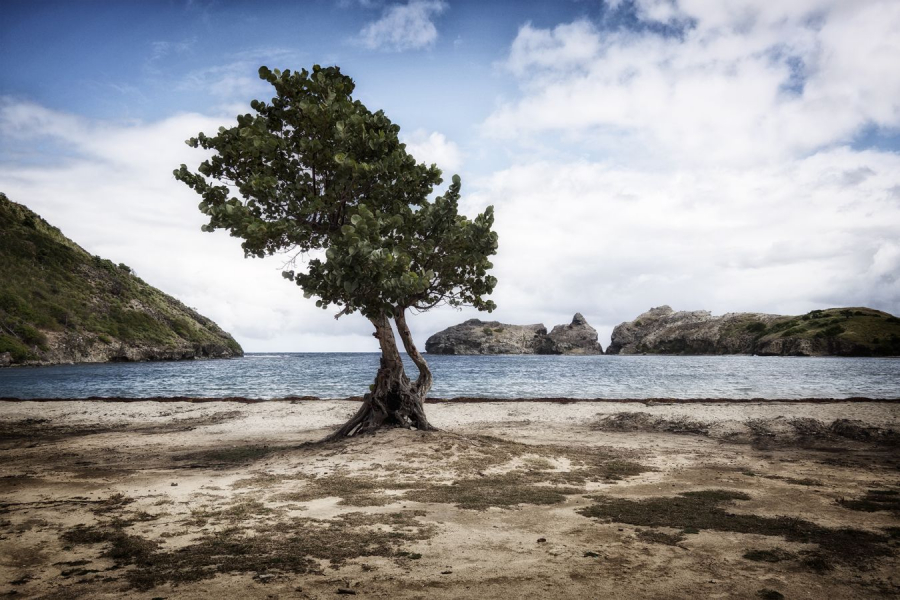seul sur le sable