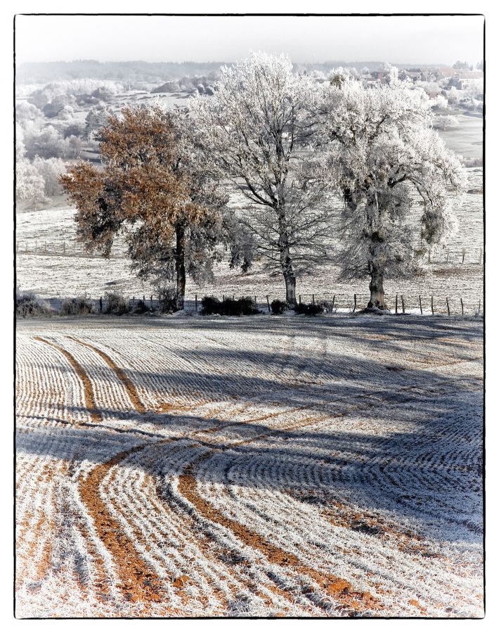 Ambiance Hivernale