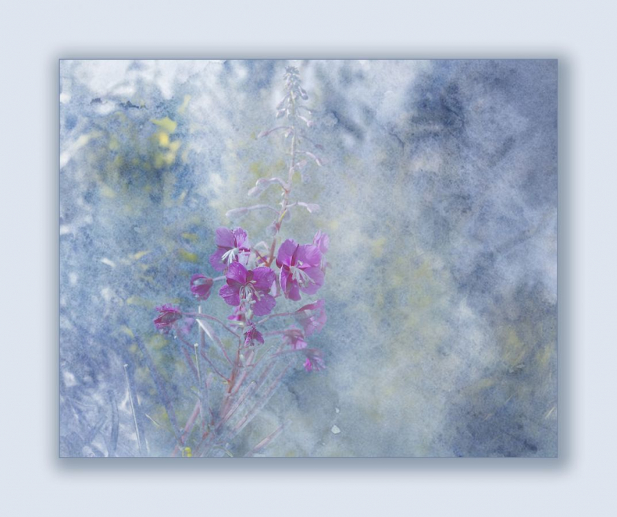 aquarelle