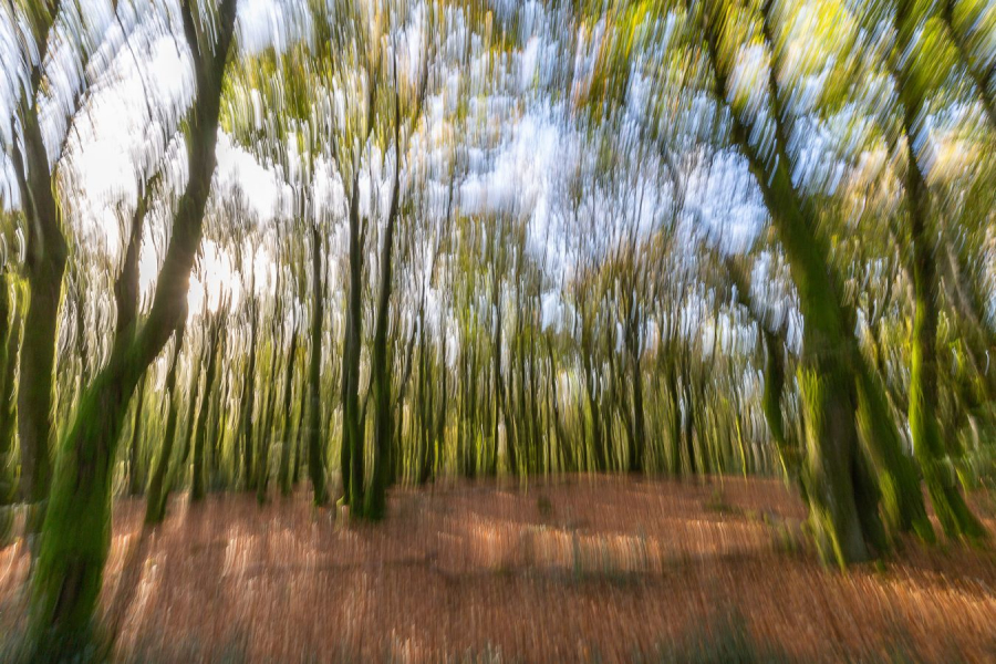 Automne
