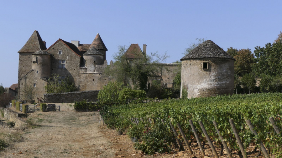 CHATEAU DE PONTUS DE TYARD