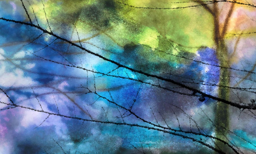 En attendant le printemps