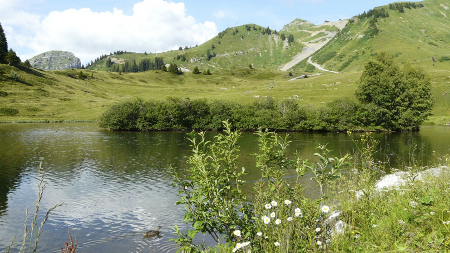 JOUX PLANE