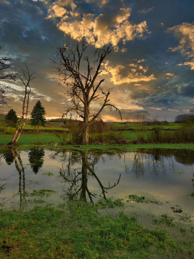 La mort en reflets