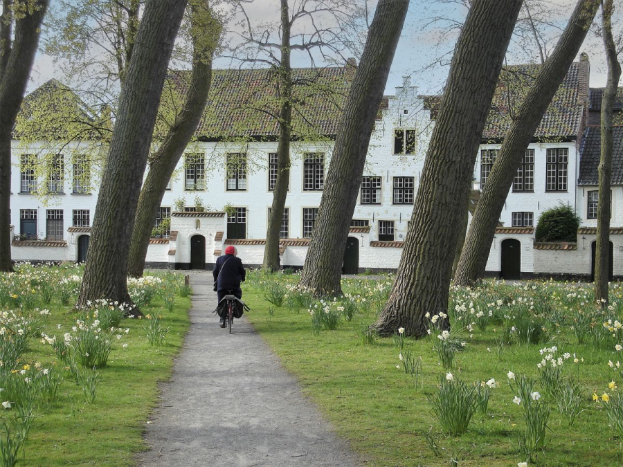 promenade à vélo