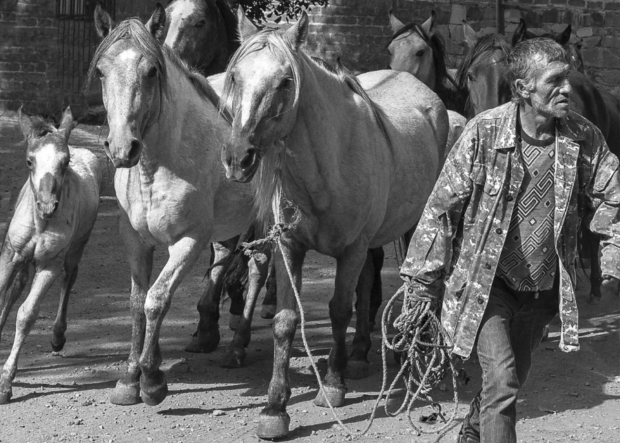 Au petit trot