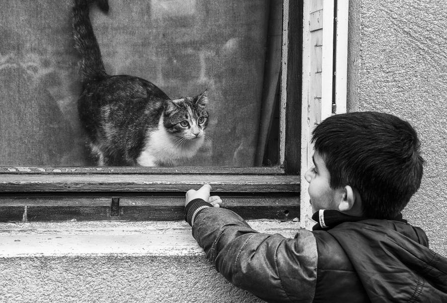 Coup de foudre