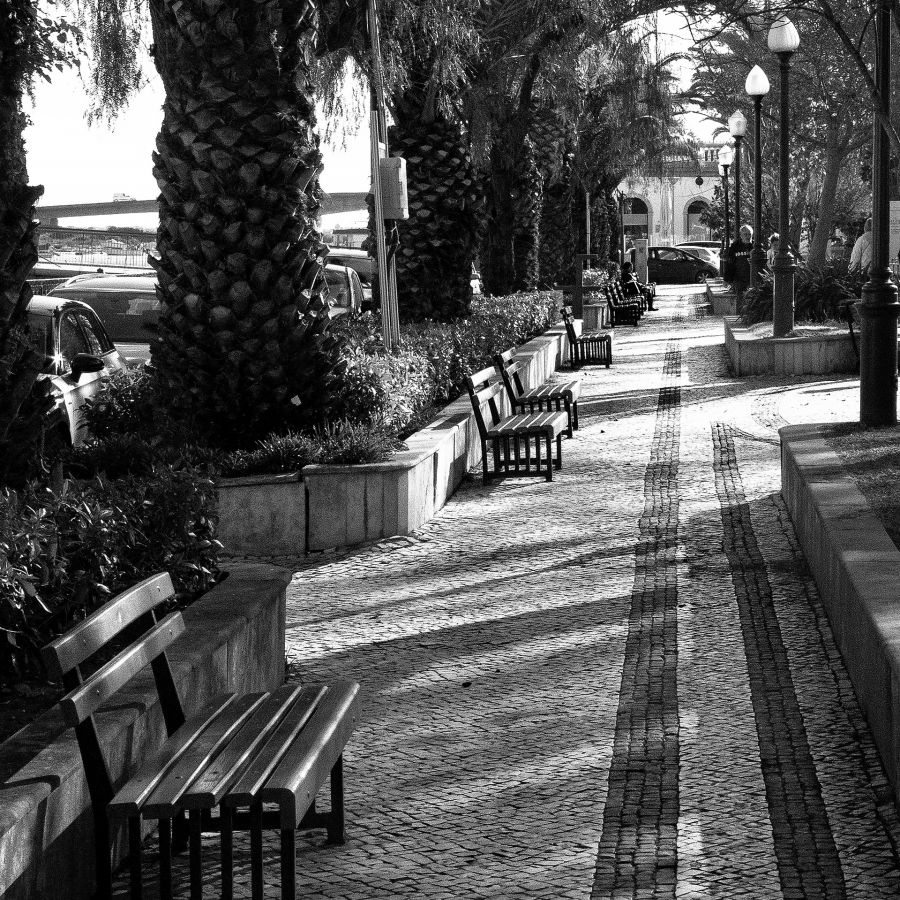 Jardin pavé