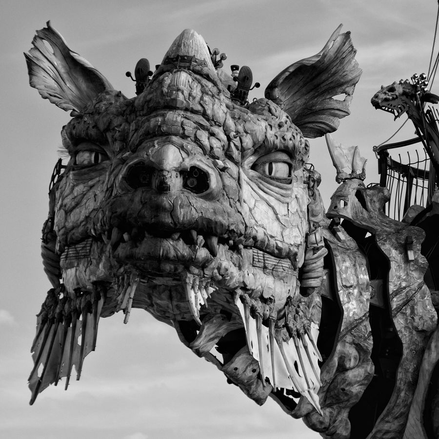 Le dragon de Calais