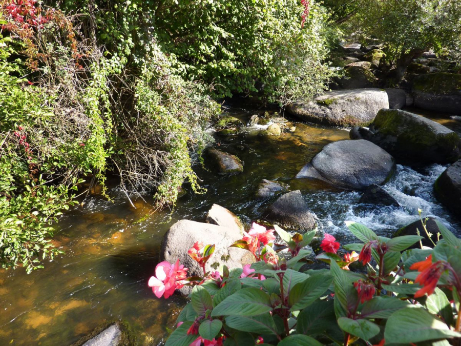 Pont Aven