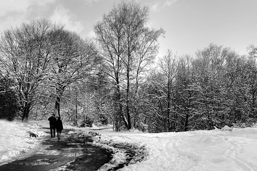 Promenade hivernale