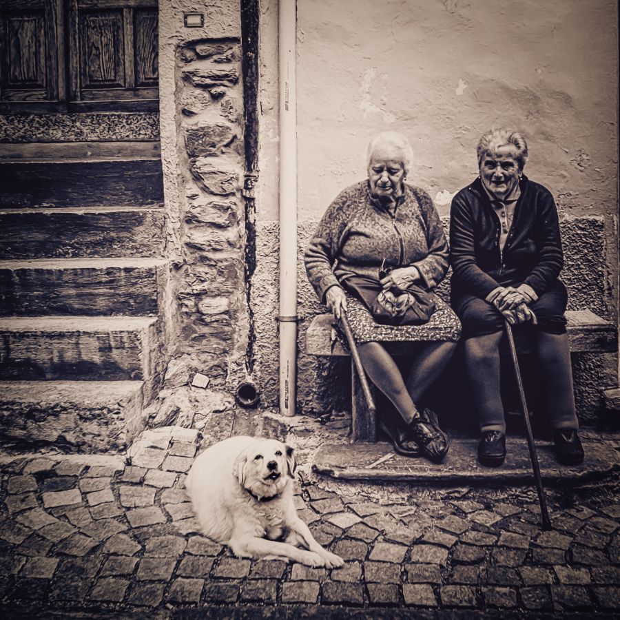 Le compagnon