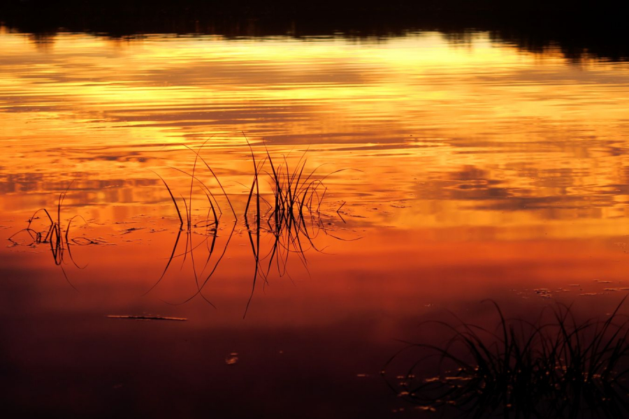 Incandescent  - Guinot E