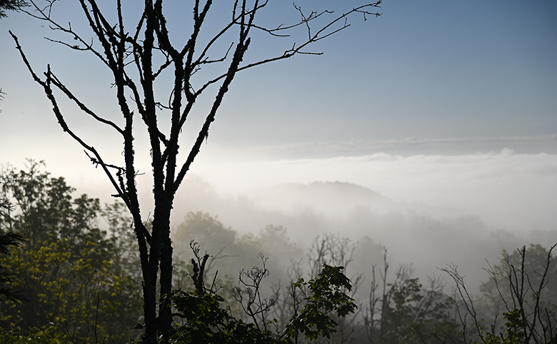 Le Creusot dans le brouillard_1