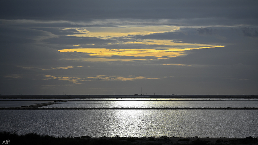 _DSC0511 - Copie