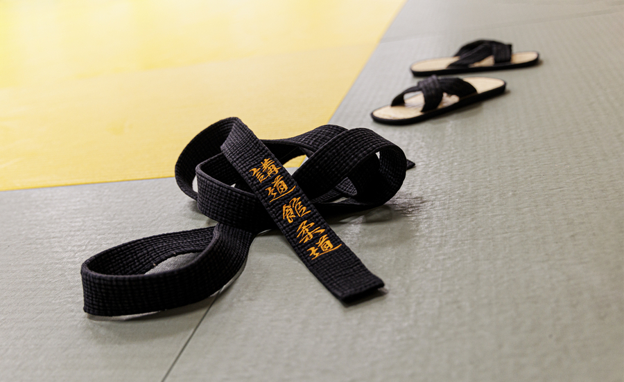 judo
