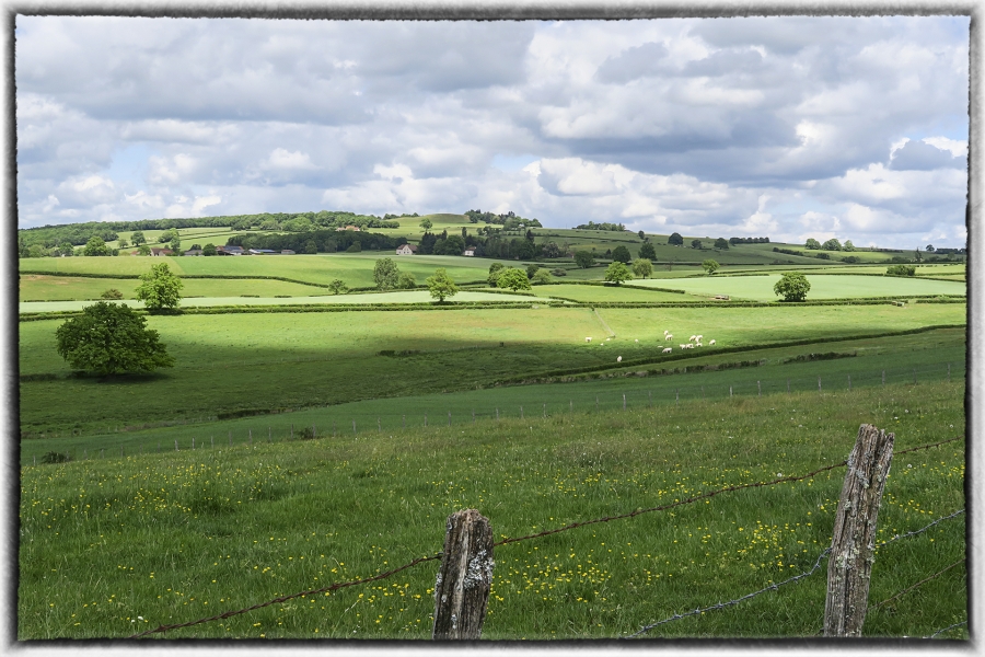 Dans la nature_1
