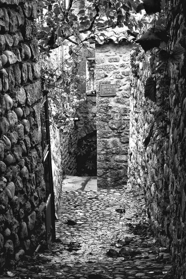 ruelle318_51991911591_o