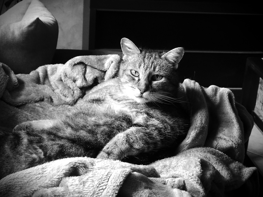 DSC03668-Benjamin 