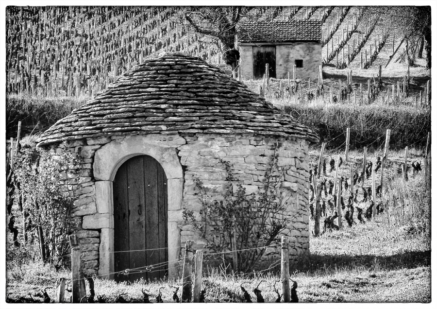 SAULES 1920px