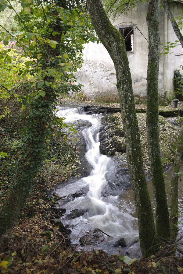 - ruisselet