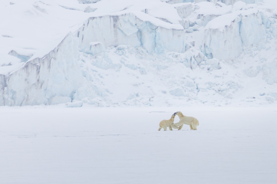 Rencontre