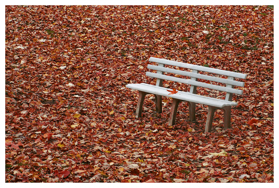 la-feuille-y-dumont_49153207222_o