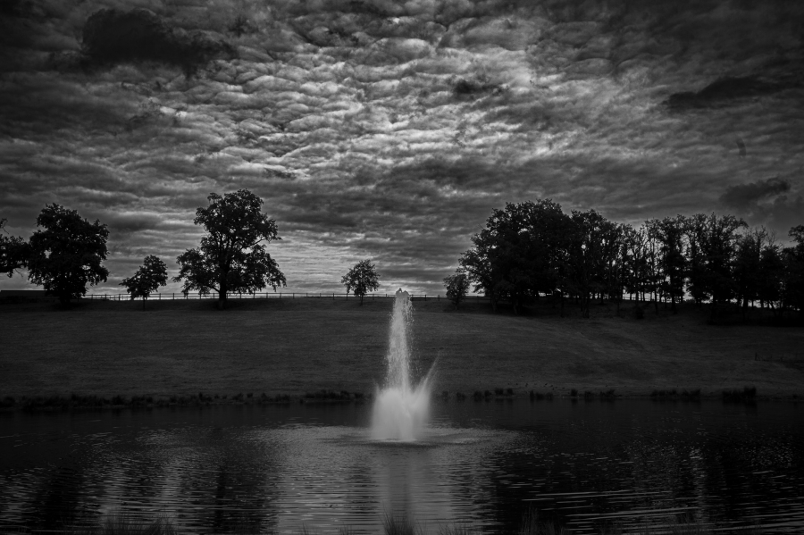 _MG_0894