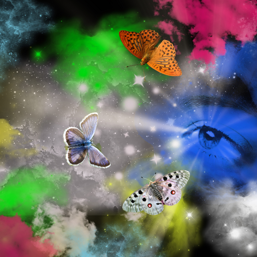 3 Papillons