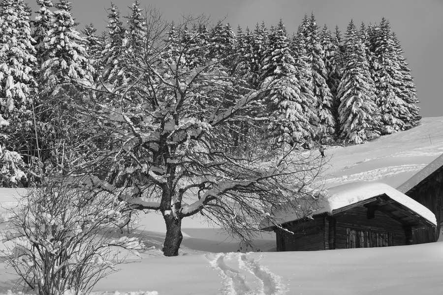 Image 047 copie
