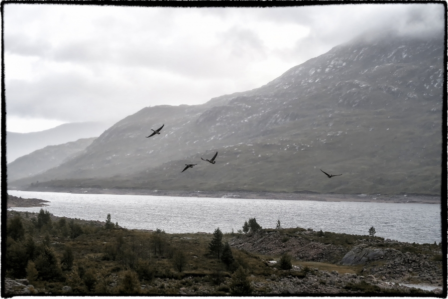 Ecosse_27