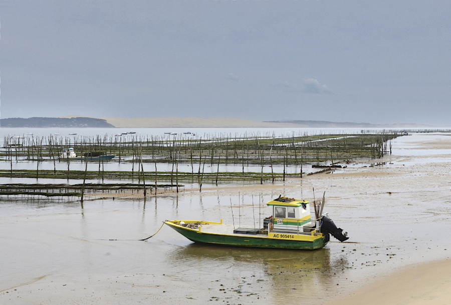 3-DSC_3857 D  Bassin d'Arcachon 2024 copie