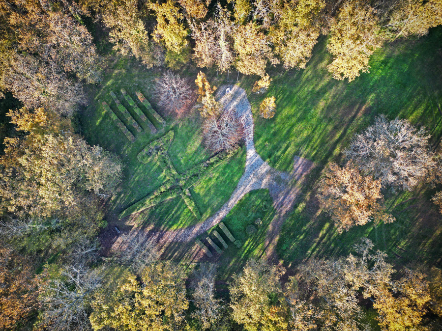 06- Atterrissage en pleine forêt