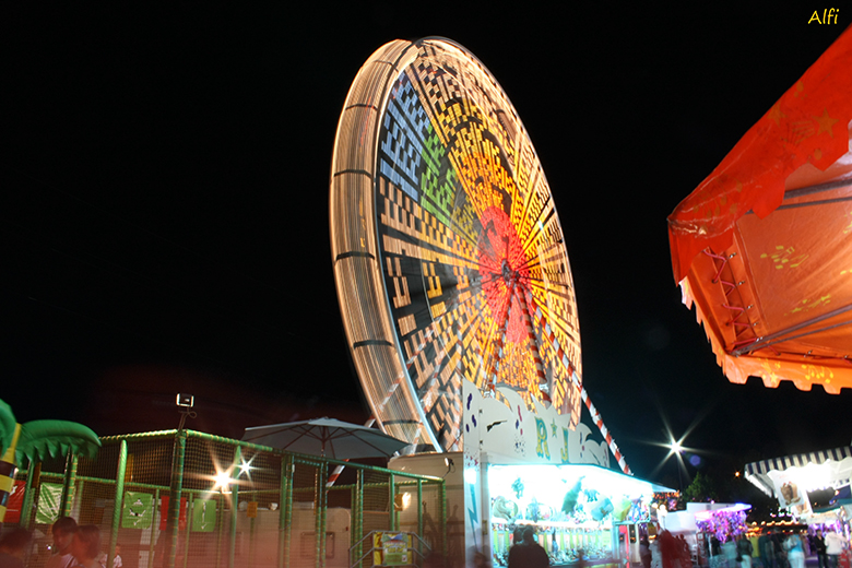 Alain Fiault  IMG_4017