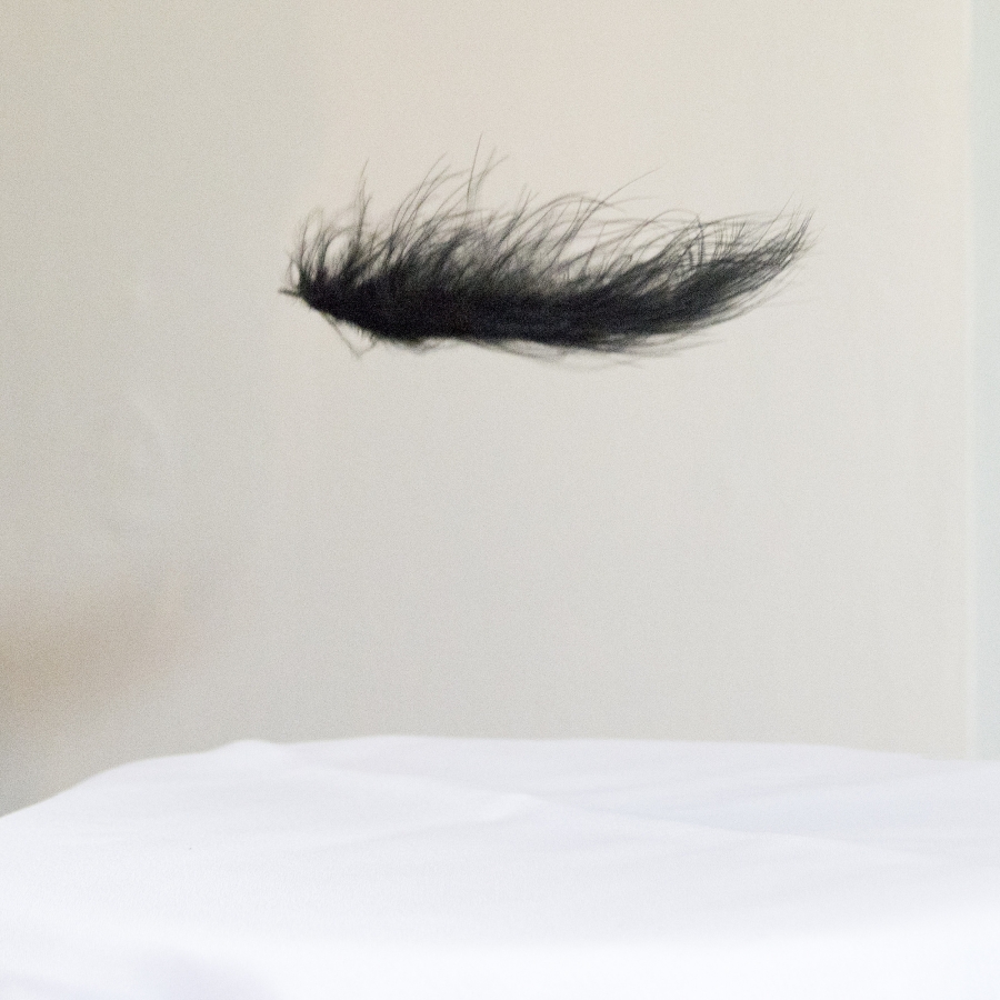 Elisabeth Guinot  test