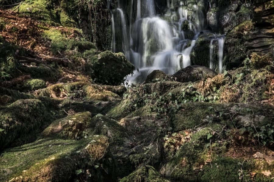 Elisabeth. Ma cascade à moi .