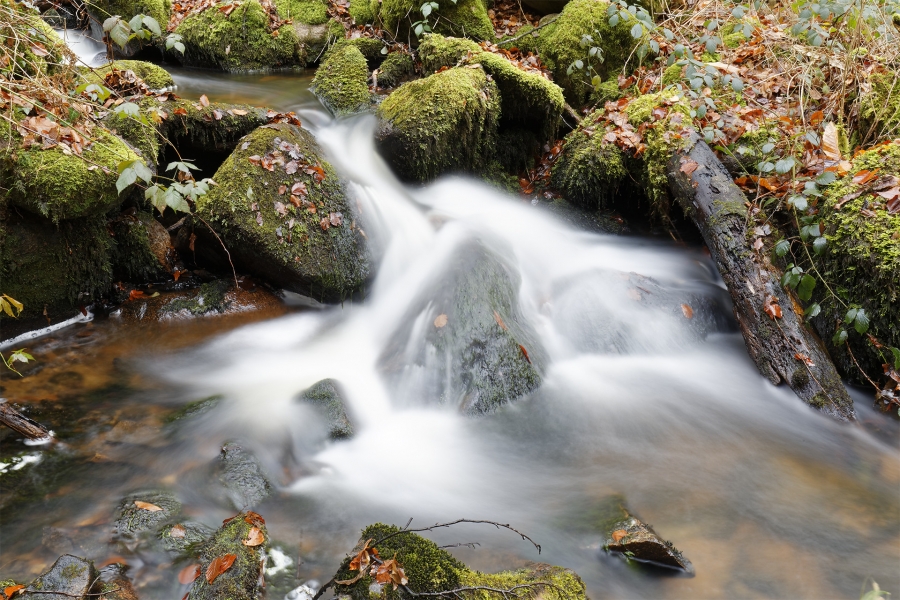 Philippe Contassot  Cool