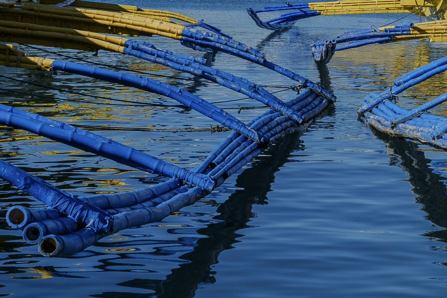 bateaux018sacksteder